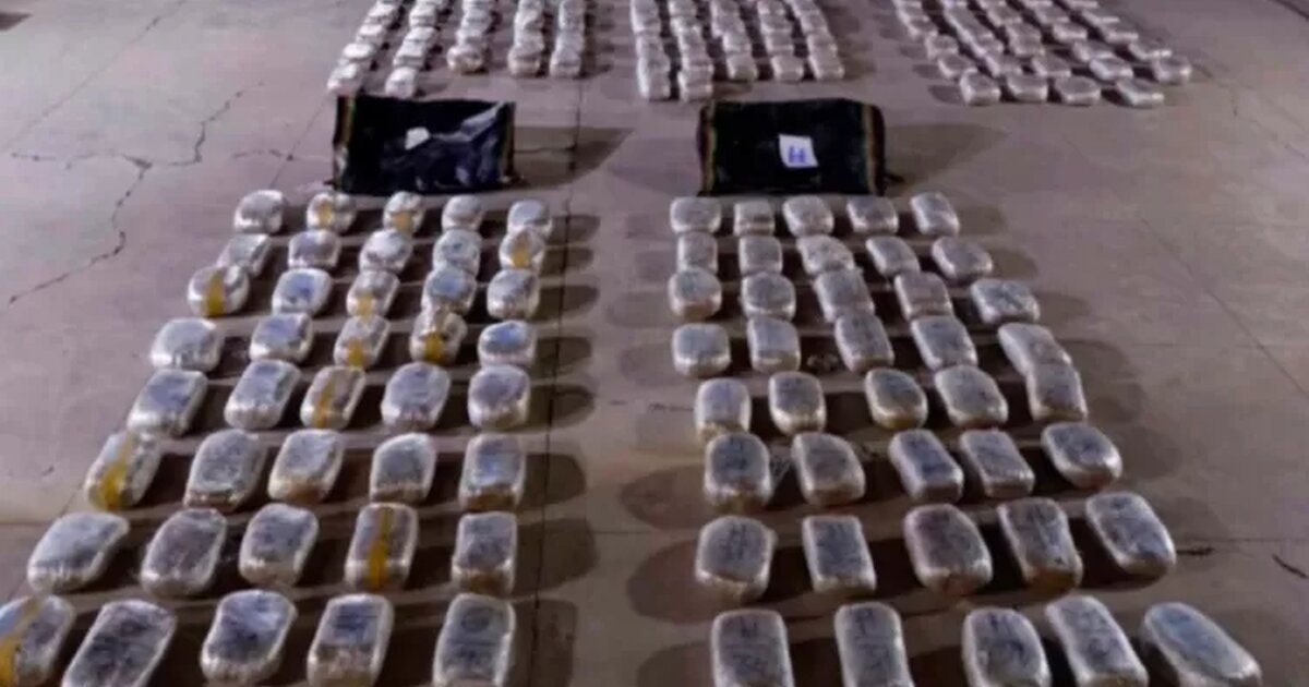 Decomisan más de 260 kilos de marihuana en frontera chileno-boliviana ...